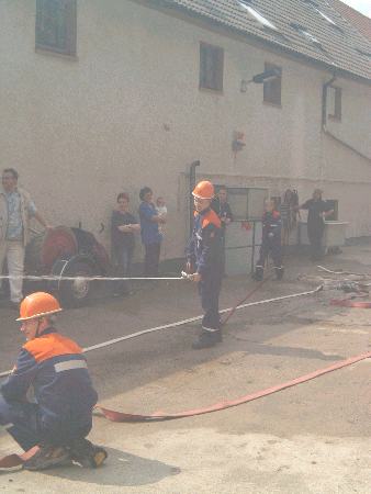 Bild 11 von 13  -  21 kB